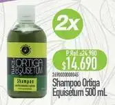 Shampoo equisetum