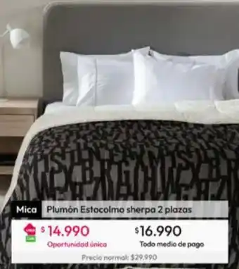 Plumón
