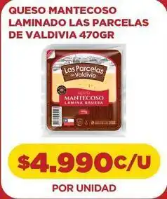 Comercial Castro Las parcelas de valdivia - queso mantecoso laminado oferta
