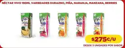 Comercial Castro Vivo - nectar oferta