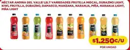 Comercial Castro Andina del valle - nectar oferta