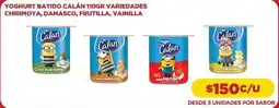Comercial Castro Danone - yoghurt batido calen 110gr variedades chirimoya, damasco, frutilla, vainilla oferta