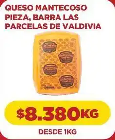 Comercial Castro Las parcelas de valdivia - queso mantecoso, barra oferta