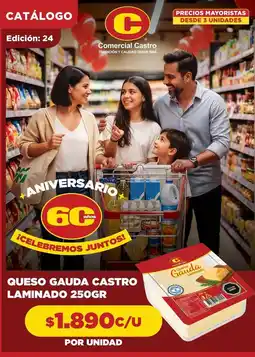Comercial Castro Queso gauda castro laminado oferta