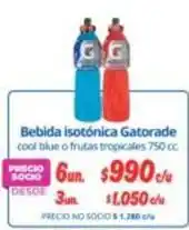 Alvi Gatorade - bebida isotónica oferta