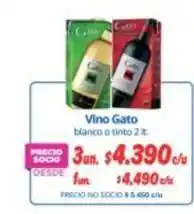 Alvi Gato - vino gato oferta