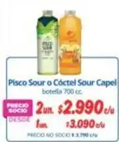 Alvi Capel - pisco sour o coctel oferta