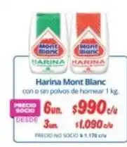 Alvi Mont blanc - harina blanc oferta