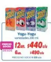 Alvi Yogu yogu - yogu oferta