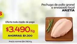 Tottus Ariztía - pechuga de pollo granel o envasado local oferta