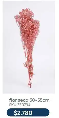 Sánchez & Sánchez Flor seca 50-55cm oferta