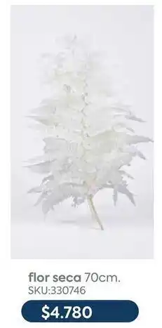 Sánchez & Sánchez Flor seca 70cm oferta