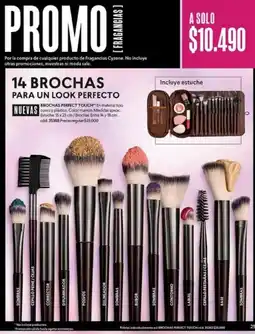 Cyzone Cyzone - 14 brochas oferta