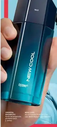 Cyzone Newood range oferta