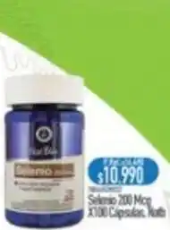 Nautica Sillaio oferta