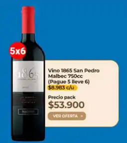 Supermercado Diez 1865 - vino san pedro malbec 750cc oferta