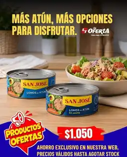 La Oferta Ahorro exclusivo en nuestra web, precios valdos hasta agostar stock oferta