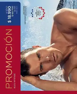 L'Bel Protector oferta