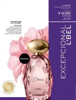 L'Bel Congelatori nv cl 4+2 oferta