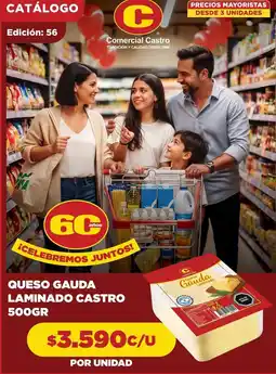 Comercial Castro Queso gauda laminado castro oferta