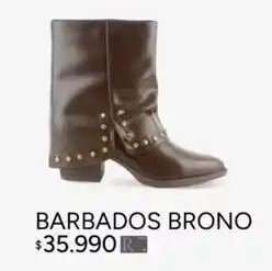 Ripley Barbados brono oferta