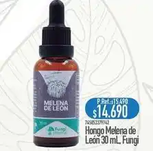 Nautica Hoongo de león oferta
