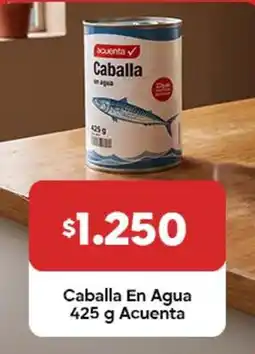 Super Bodega a Cuenta Acuenta - caballa en agua oferta