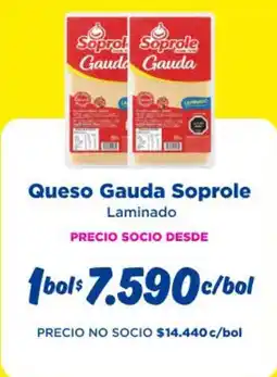 Alvi Soprole - queso gauda oferta