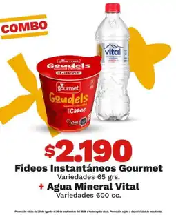 OXXO Gourmet - fideos instantaneos + agua mineral vital oferta