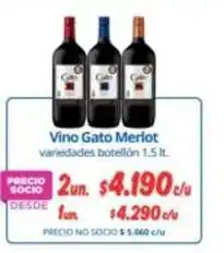 Alvi Gato - vino oferta