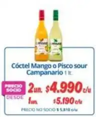Alvi Campanario - coctel mango o pisco sour oferta