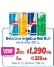Alvi Red bull - bebida energética oferta