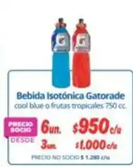 Alvi Gatorade - bebida isotónica oferta
