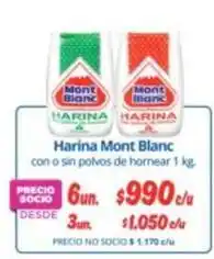 Alvi Mont blanc - harina blanc oferta