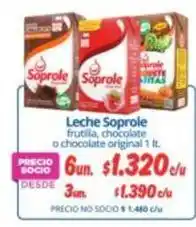 Alvi Soprole - leche oferta