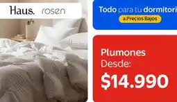 Lider Haus - plumones oferta