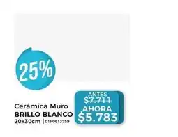 Dap Ducasse Ceramica muro oferta