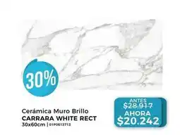 Dap Ducasse Ceramica muro brillo oferta