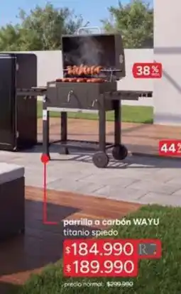 Ripley Parrilla a carbon oferta