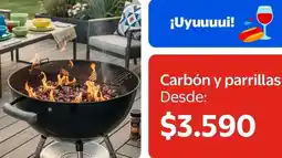 Lider Carbon y parrillas oferta