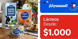 Lider Lider - lácteos oferta