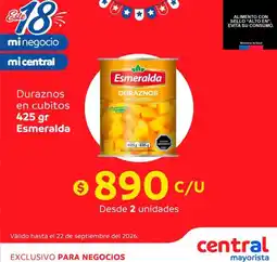 Central Mayorista Esmeralda - duraznos en cubitos oferta