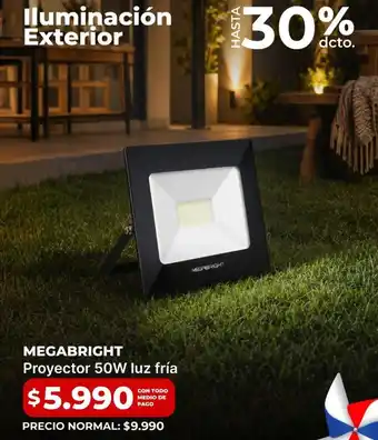 Proyector luz fria