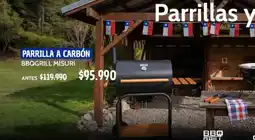 Dimarsa Parrilla a carbon oferta