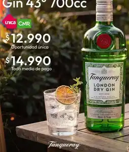 Falabella Tanqueray - london dry gin oferta