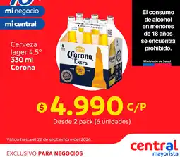 Central Mayorista Cerveza lager oferta