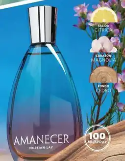 Cristian Lay Cristian lay - corazon magnolia classica oferta