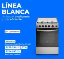Paris Cocina a gas horno vapor oferta