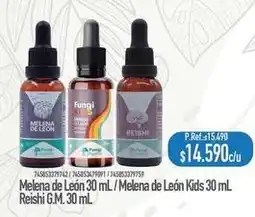 Nautica Melena de leon oferta