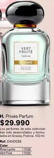 Leonisa Etienne - vert fruite oferta